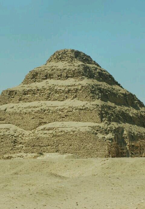 شركه استيراد وتصدير
