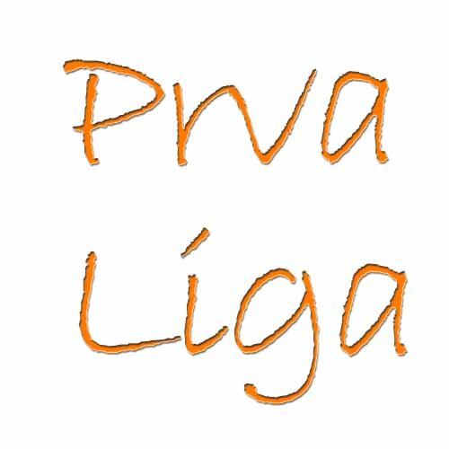 Ansambel Prva liga smo mlada zasedba na narodno-zabavni sceni iz dolenjske. Za povpraševanje ali informacije pokličite na 041 573 600 (Jernej Zupan).