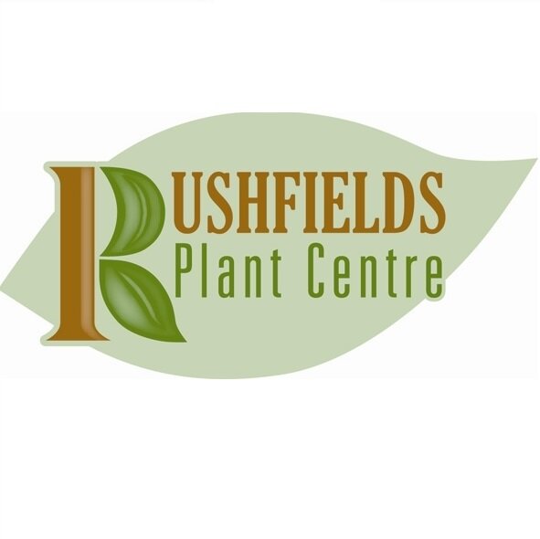 RushfieldsPC's profile picture. Rushfields is a family owned and run independent plant centre.