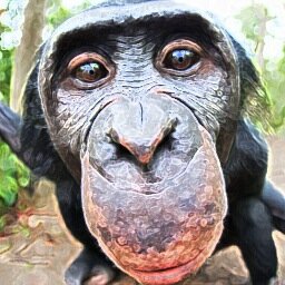 Bonobo pa los colegas. Chimpancé, aunque estoy todo el día haciendo el mono. Pan PaHoy, carbonara pa mañana.