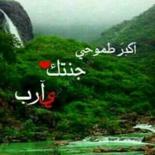 ‏ستصنعك آلأيام إما قدوهہ 
      و إما عبرة فآختر ما يناسبك ..‏​​‏​♡‏​​‏​