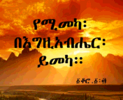 NegasiBelay1's profile picture. 