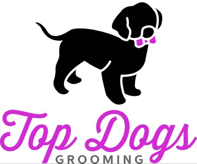I love dogs which is a good thing when I'm a dog groomer

http://t.co/qY9jkrRX