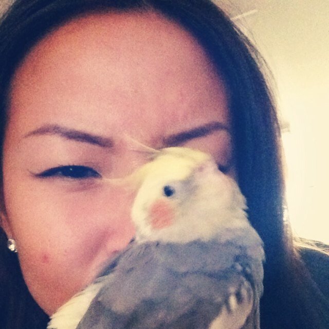 yluvv's profile picture. Always start & end your day with gratefulness : )