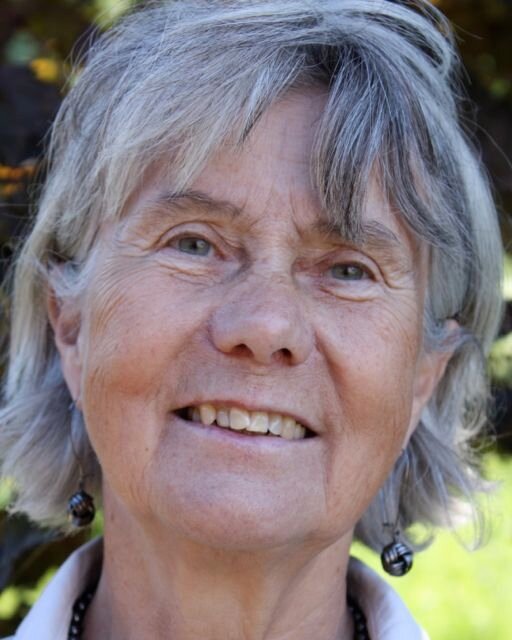 Tandläkare (spec tandreglering), Fritids-politiker, Golfspelare. Intressen därutöver hänger ihop med: Form, Färg och Ord.