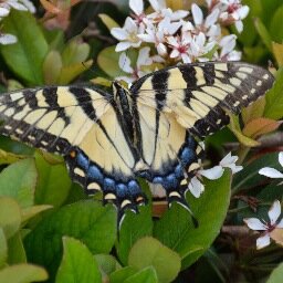 PauletteLein's profile picture. Blogger, Reader, Writer, Foodie