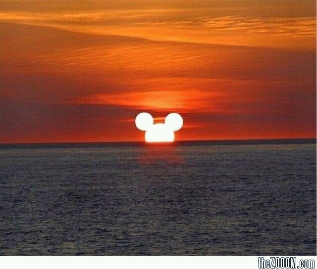 DonnaHays4's profile picture. 