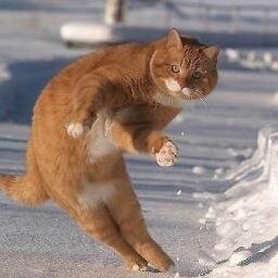 シャロンみたいになりたかったです