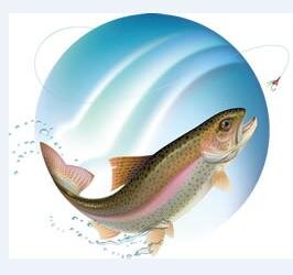 A place to buy & sell used fly fishing equipment
