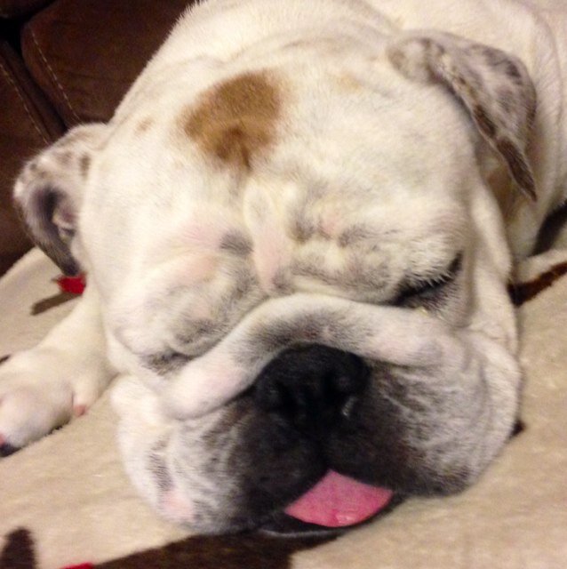 swrightlpn's profile picture. Hi