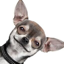 lichtpiet's profile picture. licht is niet zichtbaar maar maakt zichtbaar