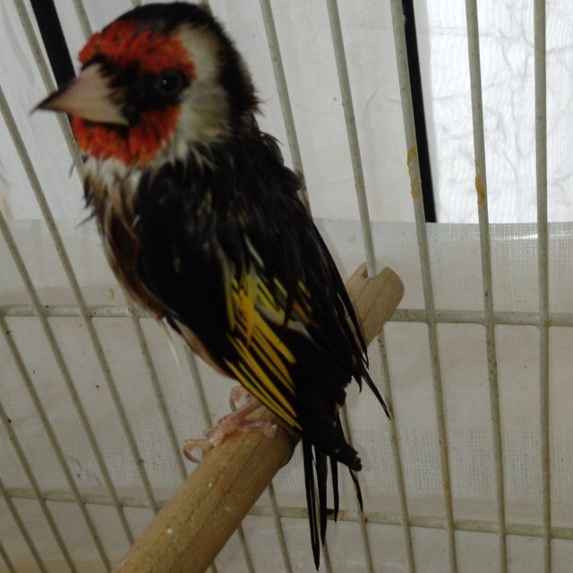 TarikMacrosoft's profile picture. 