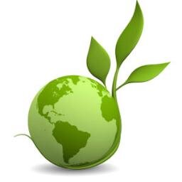 Green your Business!