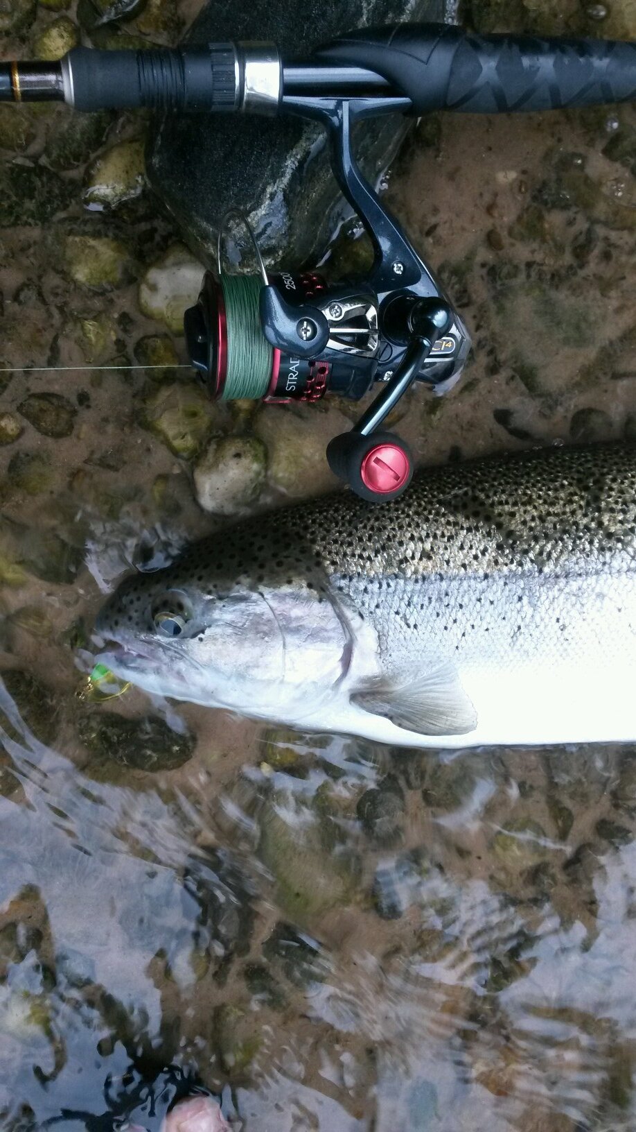 FishnMichigan's profile picture. 