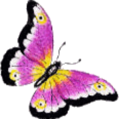 1000betterways's profile picture. There has to be 1000’s of better ways to do so many things... this twitter channel will bring them to your attention if only you choose to listen? Thank you...