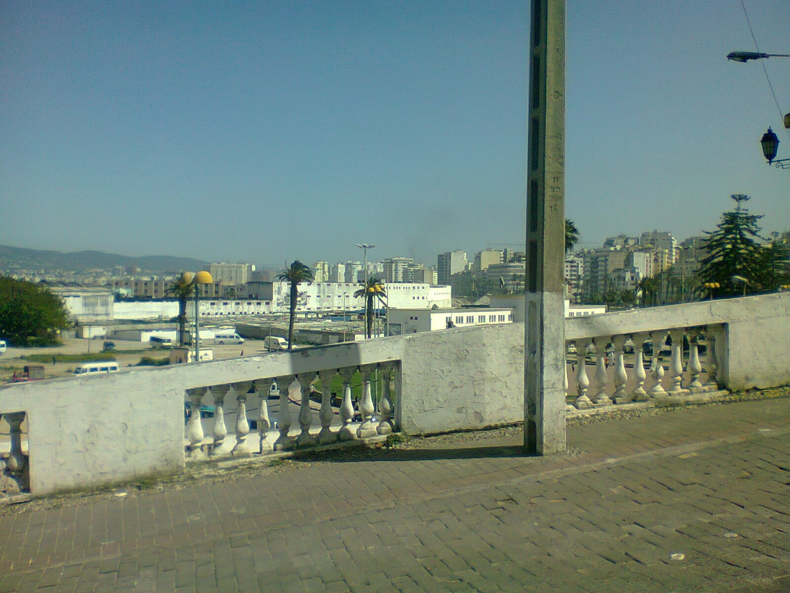 11Hicha's profile picture. 