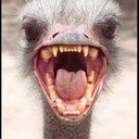 ramiro jasso mendez - @RamisJasso - Twitter