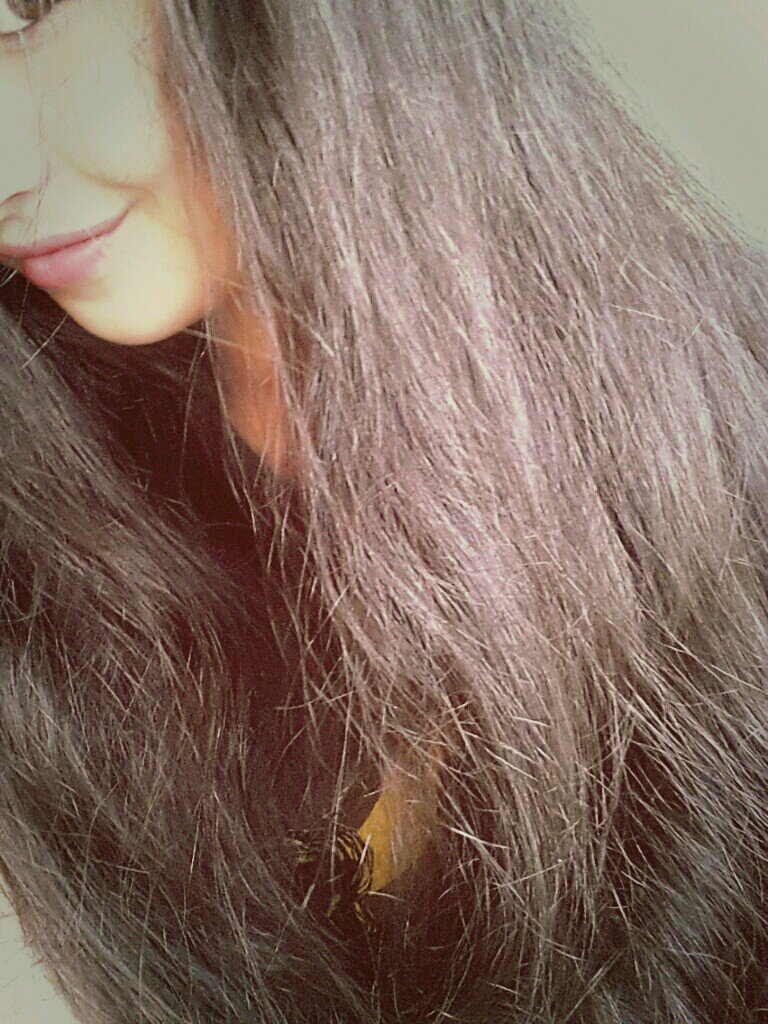 heey  it's sara Abdullah ✨ 16yrsold from Libya/north Africa Muslim and almost proud ♥ xx one direction has been the best thing happened in my life ♥