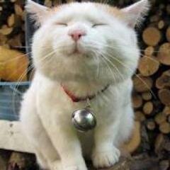 SilviCoru's profile picture. 