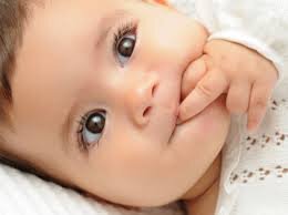22.Amante De Los Animales Este si Es Mi Twitter de Verdad Aquel Lo Creo mi Harmano Soy admirandora De Selena gomez  Amo A los niños Sigueme y Te sigo.