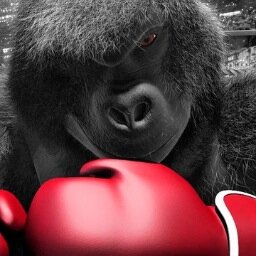 KING KONG BOXING Profile