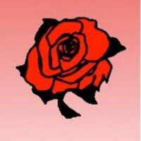 Melrose Park (@melroseparkil) 's Twitter Profile