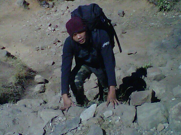 soffimonogami's profile picture. 