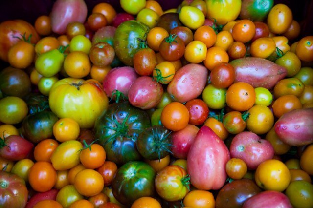 Creel Studio is a full service photography and film production company that expands and creates food, travel and lifestyle content for multiple platforms.