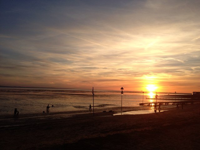 userproblems's profile picture. Follow for prediciments.