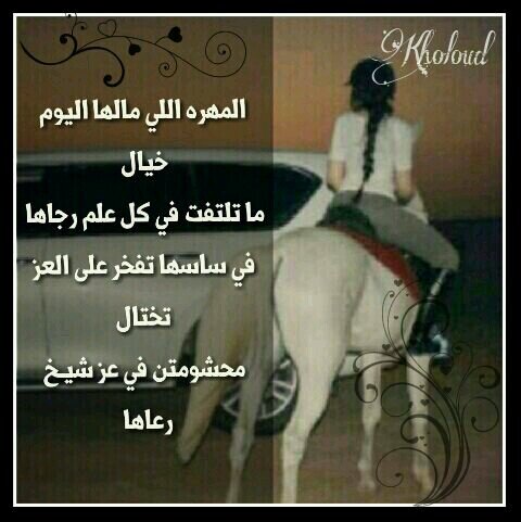 (هذا حسابي الجديد ) اسمي لحاله: في عيون الخلق قصيده اما حضوري انا اشهد انه يدهور مدينه..