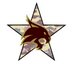 Icon for user TexasStateVATS