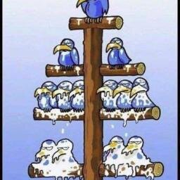 KairosTrogiri's profile picture. 