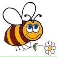 Bee Beddard(@bee_td37) 's Twitter Profile Photo