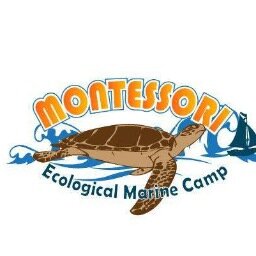 Dive deep into your marine ecology studies with the island of St. Croix as your classroom. The best year end trip your school can take. No passport needed!