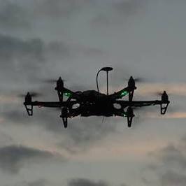 MavericksMultir's profile picture. 