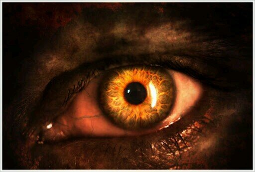 wa7shx_x's profile picture. #FF_Specialツ
#FOLLOWBACK
#followme
#UNFOLLOW