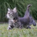 samuel campo - @samicsurez - Twitter