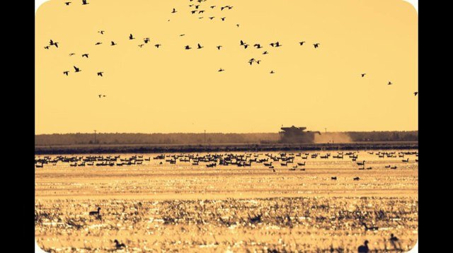 Love the hunting lifestyle!