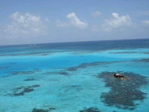 Dakota1971R's profile picture. 