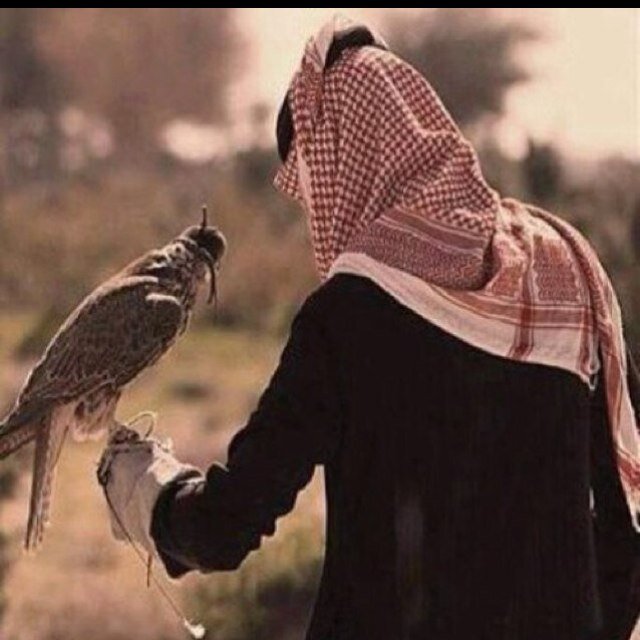 ضيفني أضيفك تمسحني أمسحك إذا تبي رتويت قولي وأنا حاضر