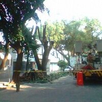 vecinos letrán valle (@vecletranvalle) 's Twitter Profile