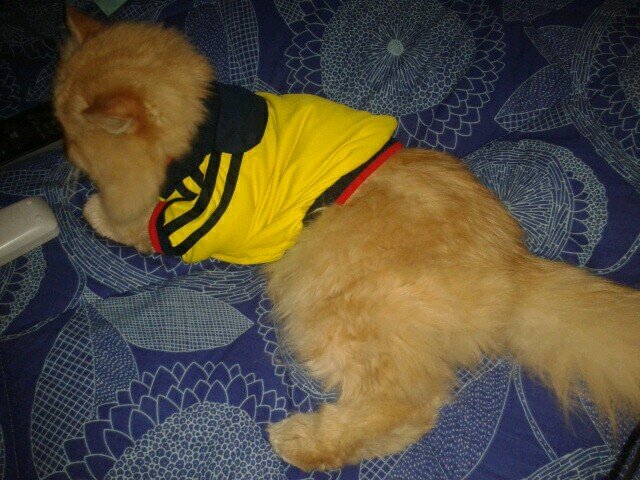 Charsssssssss's profile picture. No se trata de mí, se trata de Él.