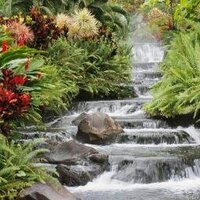 Org. Ambiente Sano (@orgambientesano) 's Twitter Profile Photo