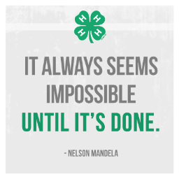 The Mission of Change4Chess4-H is to Promote & Support Chess as an Educational Tool to energize & excite young Learners about the Joy of Academic Excellence
