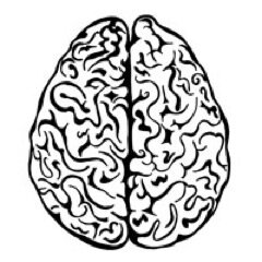 SciOBrain's profile picture. The ScienceOnline Brain conference will take place in Los Angeles, CA on July 18-19, 2014