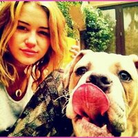 Smiler * (@smiler_mileycy) Twitter profile photo