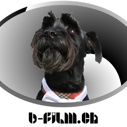 bfilmch's profile picture. 