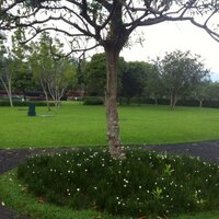 waleed (@almaringa) 's Twitter Profile