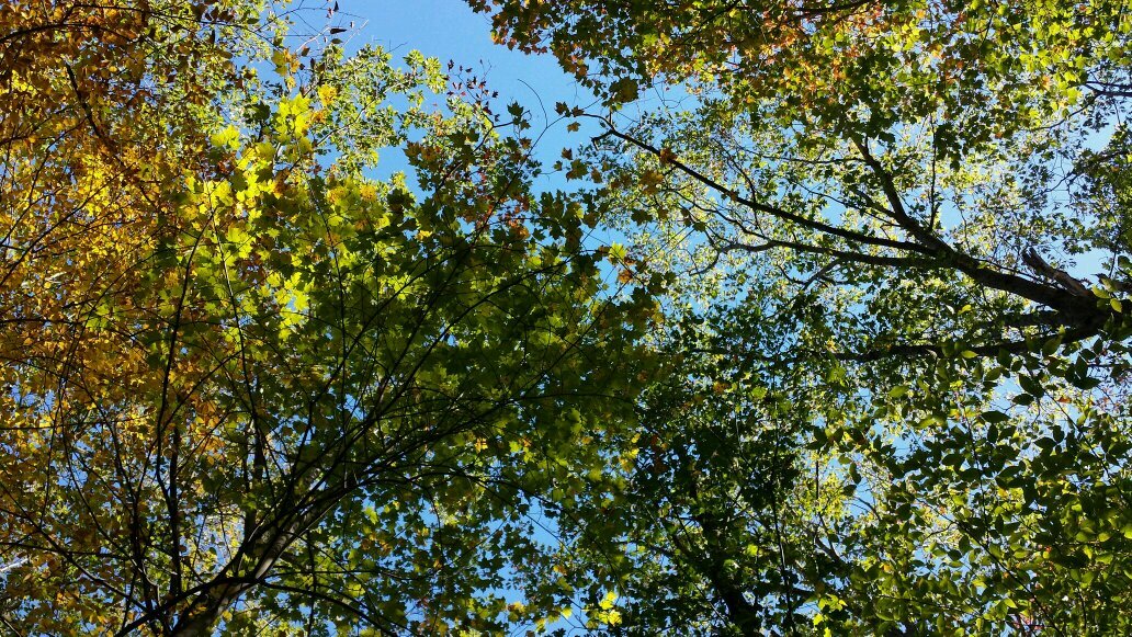 bpark012's profile picture. 