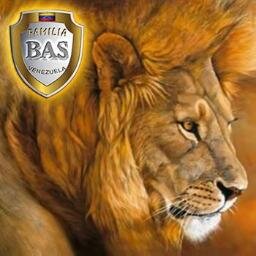 Si quieres resultados distintos, no hagas siempre lo mismo. El whisky me tiene loco. Viva la Vinotinto, el Real Madrid y los Leones del Caracas.#BAS